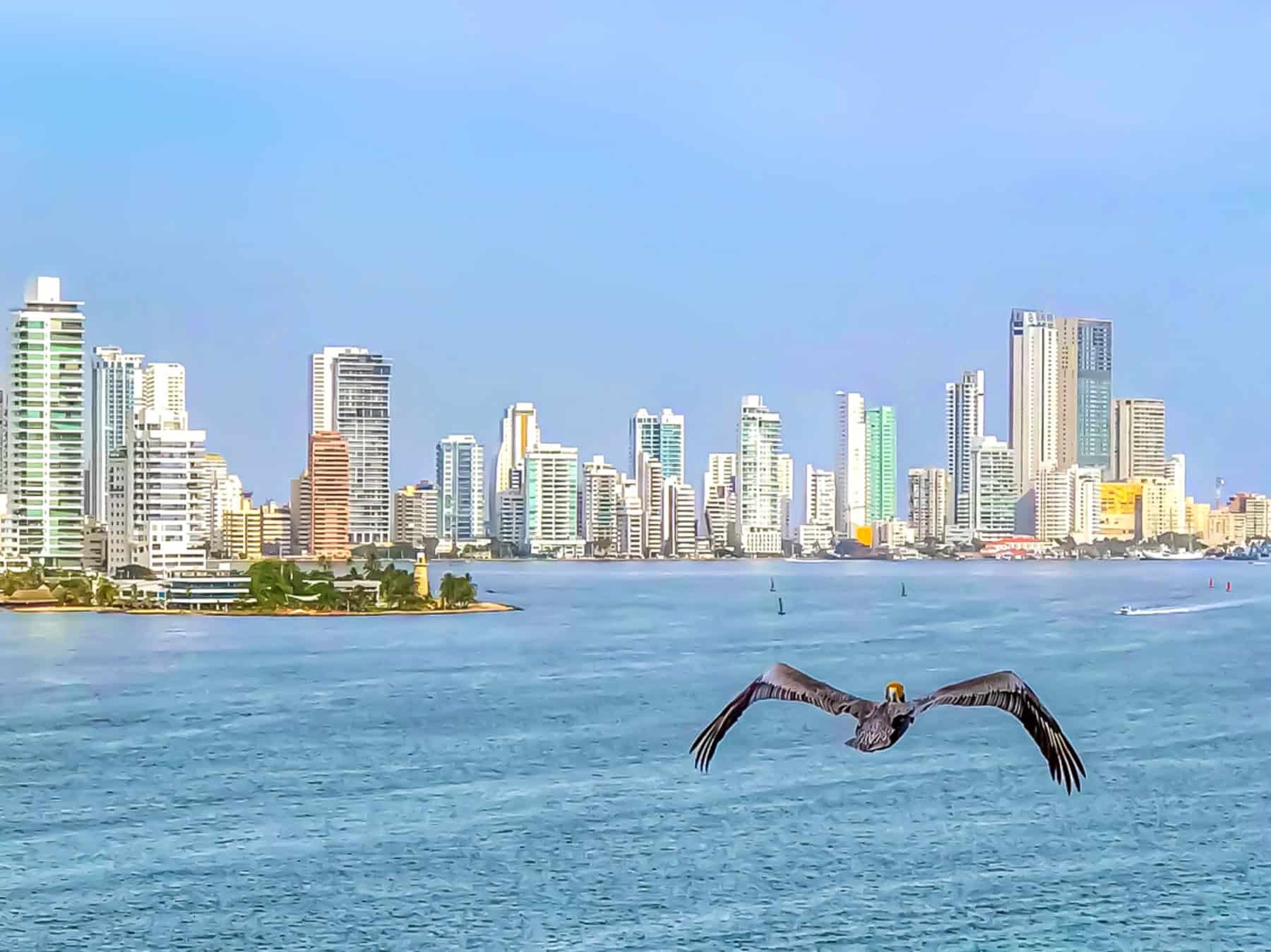 Cartagena Colombia skyline with pelican flying past the camera.